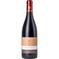 Spätburgunder Siefersheim Ortswein trocken