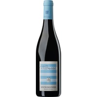 Wittmann Spätburgunder, Trocken, Rheinhessen, Rheinhessen, 2023, Rotwein