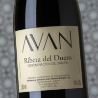 Avan Tinto