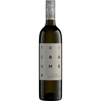 Gelber Muskateller Rust trocken - Weingut Triebaumer