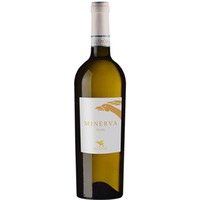 Minerva Fiano Sannio DOC trocken - Ocone