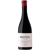 Monte Gatún Tinto Rioja DOCa trocken - Arizcuren Bodega Viñedos