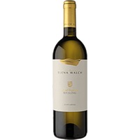 Elena Walch : Riesling Vigna Castel Ringberg