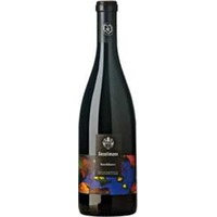 Blaufränkisch Hochberc bio