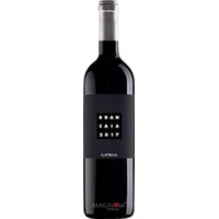 Brancaia Ilatraia IT-Bio-015