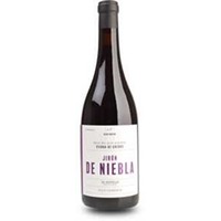Jirón de Niebla