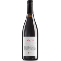 Terre del Po - Barbera IGT