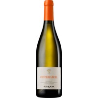 Costebianche Chardonnay Piemonte DOC - Coppo