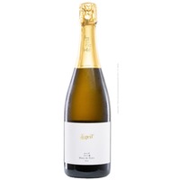 Blanc de Noirs brut