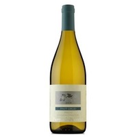 Pinot Grigio IGP