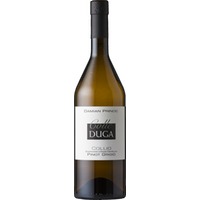 Pinot Grigio Collio DOC