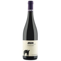 Jungano Aglianico Paestum IGP