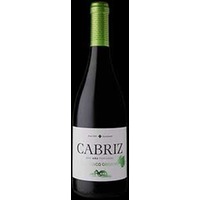 Cabriz Biologico - Rotwein