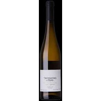 Terrantez do Pico - Weißwein