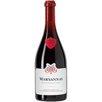 Château de Marsannay : Marsannay Village