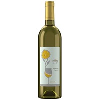 Sauvignon Superiore Friuli Aquileia DOC - Foffani