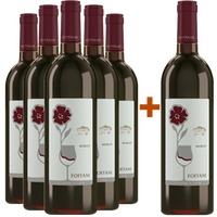 5+1 Paket Merlot Friuli Aquileia DOC - Foffani