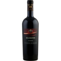 Cantine due Palme Salice Salentino Riserva DOP