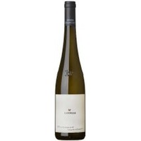 Riesling Ried Steinmassl 1 ÖTW Langenlois Kamptal DAC - BIO