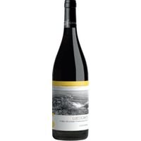 Luccicante Vermentino Colline Di Levanto - Cà du Ferrà