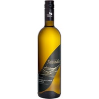 GRÜNER VELTLINER Reserve trocken - Weingut Neustifter