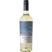 Terroir Series Torrontes Salta - Kaiken