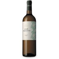 Sauvignon Blanc