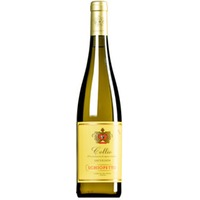 Sauvignon Bianco Collio DOC