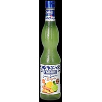 Sirup Lime Zitrone und Ingwer 560ml