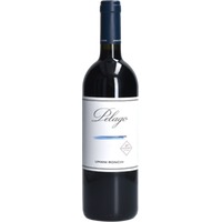 Pelago Marche Rosso IGT
