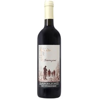 Generazioni Barbera d´Asti Superiore DOCG trocken 1,5 L - Ca ed Curen
