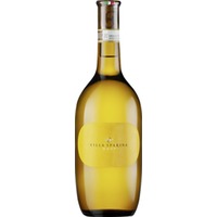 Gavi del Commune di Gavi trocken - Villa Sparina