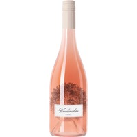Weingut St. Antony Pinot Noir Rosé Trocken Wunderschön