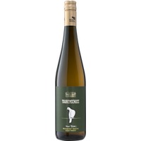 Grüner Veltliner Ried Tenn Weinviertel DAC Reserve