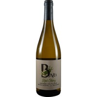 Weinviertel DAC Reserve Ried Ölberg - Weingut Baier