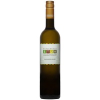 Sauvignon Blanc BIO - Winzerhaus Stur