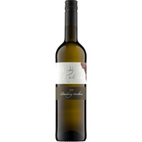 Von Alten Reben Riesling trocken - Weingut Reis
