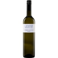 Grüner Veltliner Ried Gösinger Steinbertz trocken - Weingut Gerald Waltner