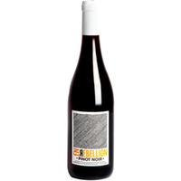 En Rebellion Pinot Noir - cinsault Pays d'Oc IGP trocken Bio - Domaine Sainte Marie des Crozes