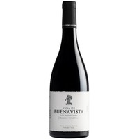 P.H. Viña de Buenavista Extremadura VT trocken - Pago los Balancines