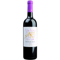 Pagos de Araiz Joven 0.75 L Flasche