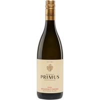 Sauvignon Blanc Ried Grassnitzberg Stein - Primus