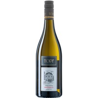 Grüner Veltliner Ried Stein 1ÖTW