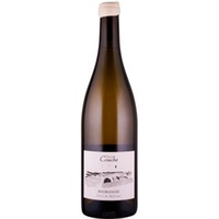 Champagne Vincent Couche Bourgogne Blanc Terre de Molesme