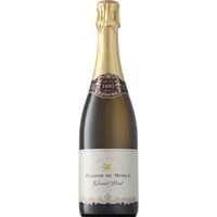 Plaisir de Merle, Brut, WO Western Cape, Western Cape, 2018, Schaumwein