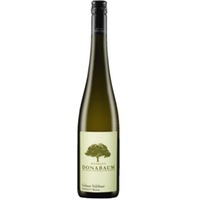 Grüner Veltliner Steinfeder - Donabaum