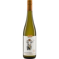 Stefan J. Schmitzer Müller-Thurgau Pfalz Demeter Herrenhof