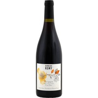 Pinot Noir Bourgogne - Domaine Romy