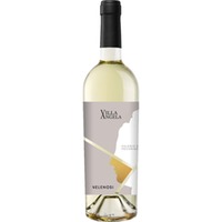 Falerio dei Colli Ascolani, Bianco DOC, Marken, 2024, Weißwein