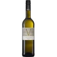 Grauer Burgunder Classic trocken - Weingut Knöll & Vogel